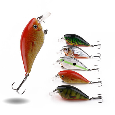 

Saidsome HENG JIA 5 pcs Fishing Lure Kit Lure Hook Set With Fishing Tackle Box Box016 fishing bait fishing lure