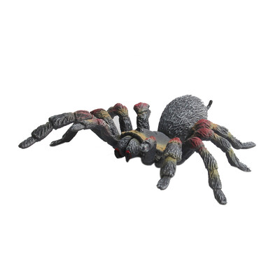 

Tailored Educational Science Toy Simulated Spider Model Toy For Kids Children
