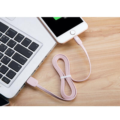 

Cute 2A USB 31 Type-C Micro USB Lightning Fast Charging Data Cable With Indicator Light-Type-C