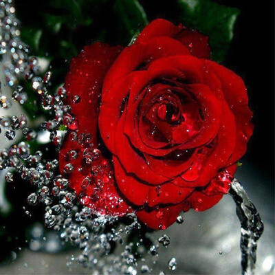 

DIY 5D Diamond Painting Pink Rose Rhinestone Embroidery Full Drill Gem Pictures Wall Art Craft&Home Decoration