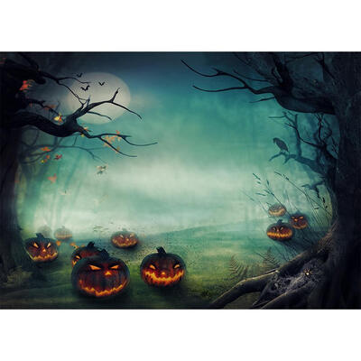 

Halloween Theme Photography Background Cloth Backdrop Photographic Props