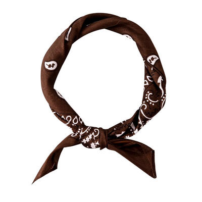 

Hip Hop Unisex Women Men Shawl Cashew Flower Print Square Scarf Hair Band