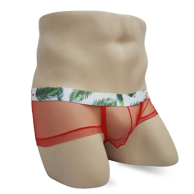 

Men Printed Low Rise Mesh Bulge Pouch Lingerie Underwear Breathable Sexy Briefs