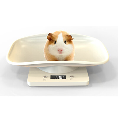 

〖Follure〗Digital Pet Scale LCD Electronic Scales for Measure Pet High Precision Pet