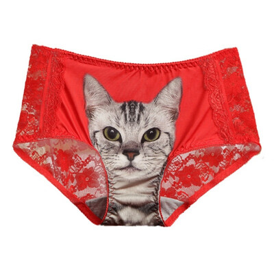 

Womens 3D Cat Print Transparent Panties Sexy Lace Gauze Patchwork Panties Thin Light Seamless Underwear Briefs