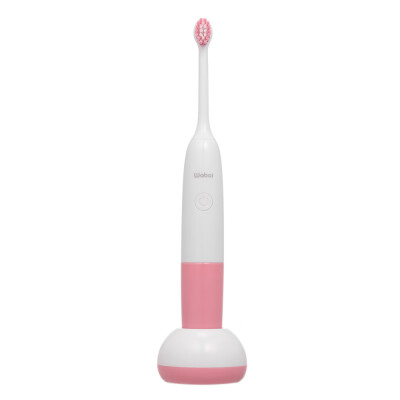 

Electric Toothbrush USB Rechargeable Sonic Teeth Brushes with 2 Replacement Heads Waterproof