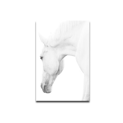 

Horse Head Animal Style Wall Art Oil Painting Canvas No Framed Wall Picture Bedroom Living Room Oil Drawing Poster