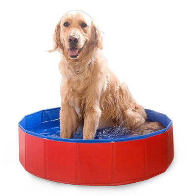 

Foldable Pet Bath Pool Collapsible Dog Pool Pet Bathing Tub Pool for Dogs Cats