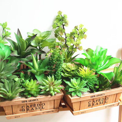 

Artificial Plant Succulent Greeny Plants Home Garden Table Office Decoration