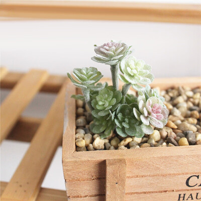 

Artificial Succulent Plant Concise Modern Home Office Table Decoration
