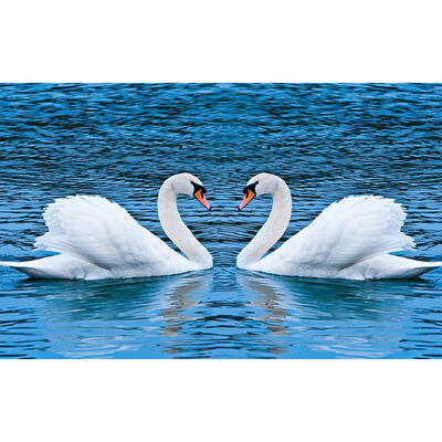 

5D DIY Full Drill Diamond Painting Swan Lake Cross Stitch Embroidery Kits