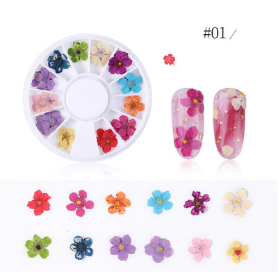 

Toponeto Nail Nail Dry Flower Star Sunflower Daffodil Five Petals Small Dry Flower