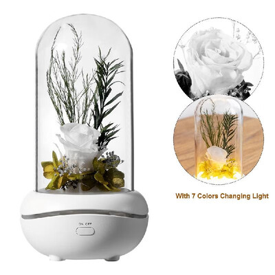

Preserved Rose Lamp Aromatherapy Mechine Aroma Essential Oil Diffuser with 7 Colors Changing Light