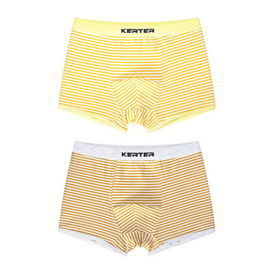 

2pcs Cute Boy Boxers Cotton Stripe Underpants Elastic Waist Briefs Shorts