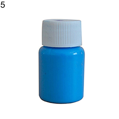 

20g 12 Colors Glow in Dark Luminous Paint Pigment DIY Handmade Painting Tool