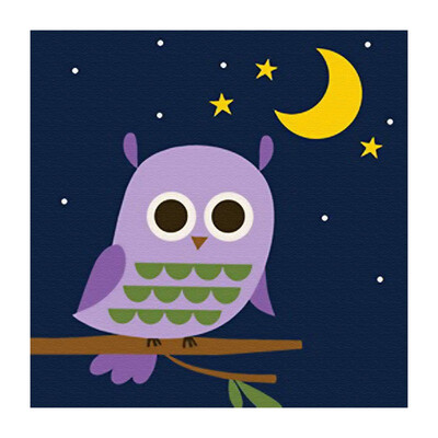 

Owl Mermaid DIY Oil Painting By Numbers Material Tool For Home Living Room Decoration
