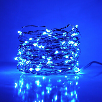 

Siaonvr Extra Long 20m 200led Starry String Lights Warm White on a Flexible Wire