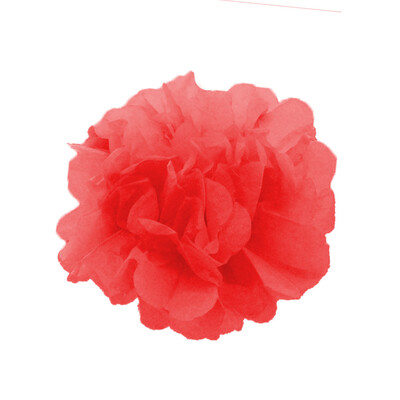 

Toponeto Wedding Decoration DIY Paper Balls 10 inch Party Room Paper Ball-Flower