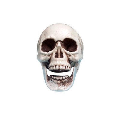 

Siaonvr Halloween Decorations Resin Wacky Funny Novelty Skull Toys