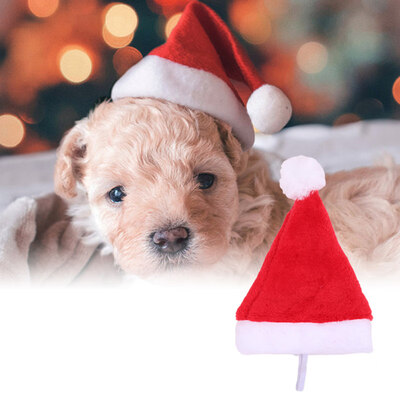 

Christmas Holiday Costume Plush Pet Dog Santa Hat Party Supplies Decor Xmas Gift