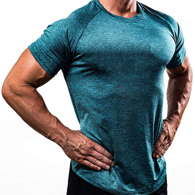 Mens Slim Fit O Neck Short Sleeve Muscle Tee Shirts Casual T-shirt Tops Blouse