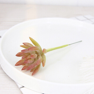

Artifical Plastic Succulent Plant Cactus Echeveria Flower