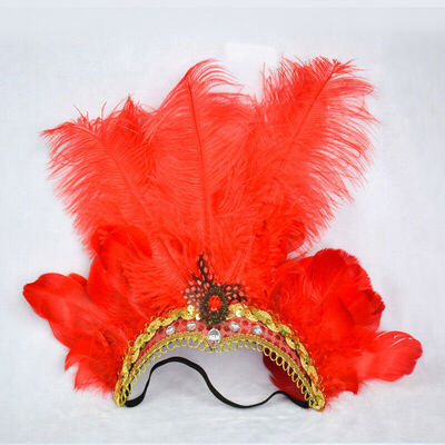 

Indian Crystal Crown Feather Headband Headdress Carnival Headpiece Headgear