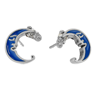 

1 Pair Charm Wonderland Blue Enamel Alloy Studs Earrings Rhinestone Romantic Vintage Style Earring Jewelry Accessories