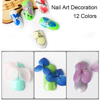 

Toponeto Mermaid Nail Gradient Pearls Sequins Glitter Dazzling Manicure Nail Art Decorati