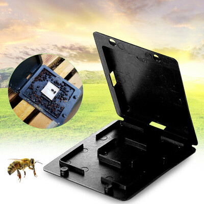 

Gobestart Insect Traps Beehive Garden Supplies Beekeeping Tool Plastic Beetle Collector