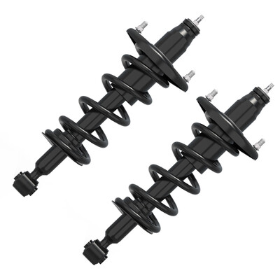 

For 2001-2005 Honda Civic Rear Complete Struts & Coil Springs Assembly w Mounts