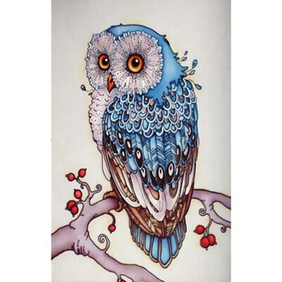 

5D DIY Full Drill Square Diamond Painting Bird Cross Stitch Embroidery Kits