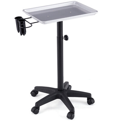 

Equipment Salon Spa Tray Beauty Trolley with Appliance Holder-Silver