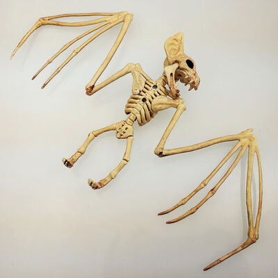 

Animal Skeleton Model BatSpiderScorpionLizard Bones Halloween Party Decoration