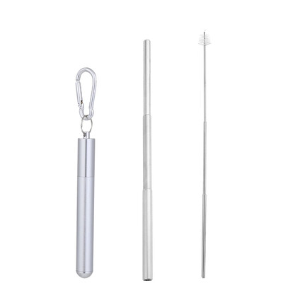 

Portable Reusable Drinking Telescopic Stainless Steel Straws Sets Carabiner