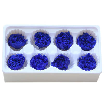 

Handmade Preserved Fresh Flowers Gift Pack Immortal Flower Eternal Carnation Heads for Gift