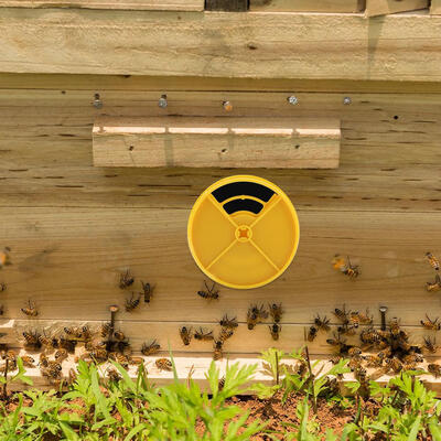 

Greensen 10Pcs Plastic Beehives Doors Bee Nest Round Entrance Disc Beekeeping Equipment Tools Beekeeping Tools Bee Nest Door