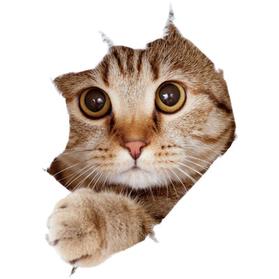 

Cats Broken Wall 3D Stereo Effect Sticker Home Removable Wall Sticker