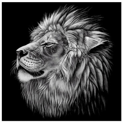 

DIY Diamond Painting cross stitch Lion Animal embroidery home decor Rhinestone mosaic needlework Canvas size 3030 round diamond