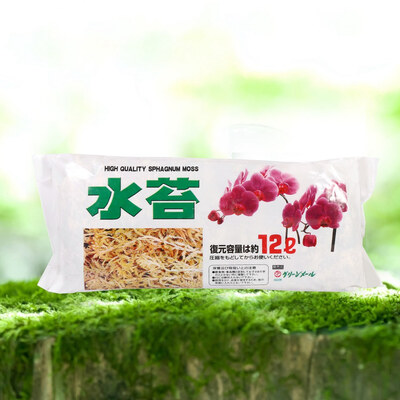 

Garden Supplies Sphagnum Moss Moisturizing Nutrition Organic Fertilizer For Phalaenopsis Orchid Orchid Sphagnum Moss