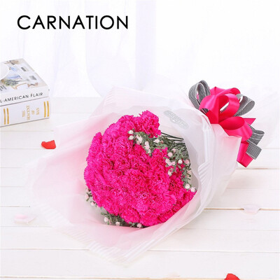 

Toponeto Artificial Fake Carnations Silk Flower Bridal Hydrangea Home Mothers Day 6pcs