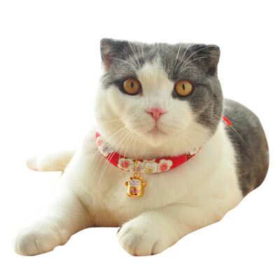 

Dream bubble cat collar cat ring cat collar bell dog small dog collar collar collar collar pet supplies M