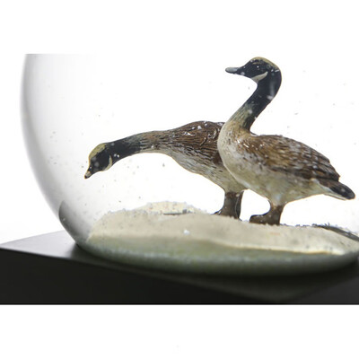 

〖Follure〗Dream crystal ball six optional creative home decoration birthday gift