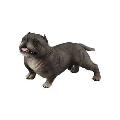 

Tailored Educational Science Toy Simulated Dogs Model Toy For Kids Children