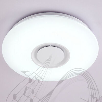 

X9903Y - 24W - LY Music Converter Bluetooth Ceiling Light