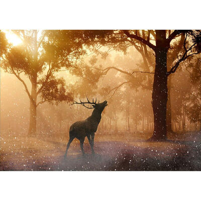 

5D DIY Full Drill Diamond Painting Forest Elk Cross Stitch Embroidery Kits