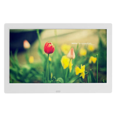 

10 Inch Digital Photo Frame Electronic Picture Player Movie Album Dispaly