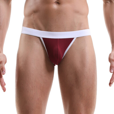 

Mens Sexy Mesh Breathable Low Rise Underpants Bulge Pouch Underwear Panties