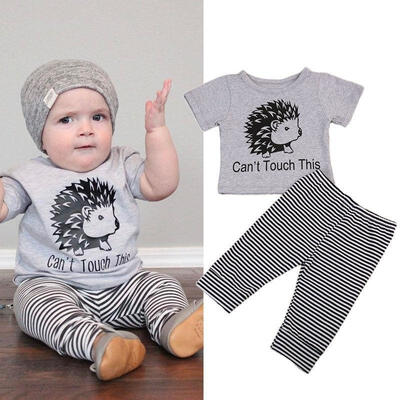 

Cute Baby Boy Girl Infant Hedgehog Outfits Clothes Casual T-shirt TopsPants 2pcs Set