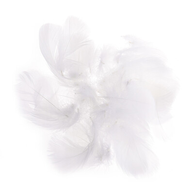 

100Pcs Multi-Function Colorful Feathers Decorative Diy Bridal Wedding Crafts